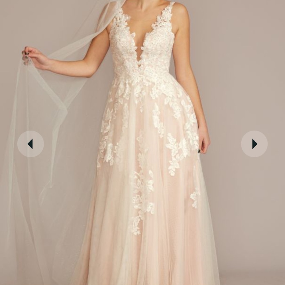 Illusion Plunge V-Neck Lace Wedding Gown